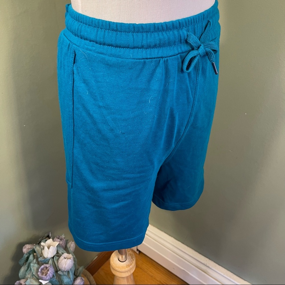 NWOT 4x (28W-30W) Terra & Sky shorts - Picture 5 of 8